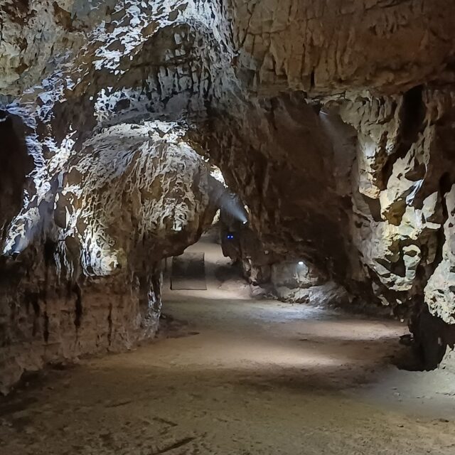 Wir besuchen heute mit den VM1 Heimatgrüßen die größte wasserdurchströmte Tropfsteinhöhle Österreichs. Und zwar ist das die Lurgrotte in der Nähe von Graz! 1822 wurde die Lurgrotte erstmals urkundlich erwähnt und erfreut sich seit vielen Jahrzehnten als beliebtes Ausflugsziel in der Steiermark. 💚 Um 11 Uhr hören wir mehr!